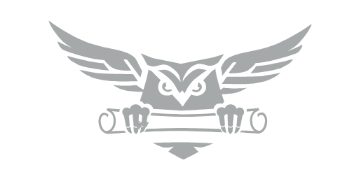 Национальная Юридическая Сеть &middot; логотип (LOGO)