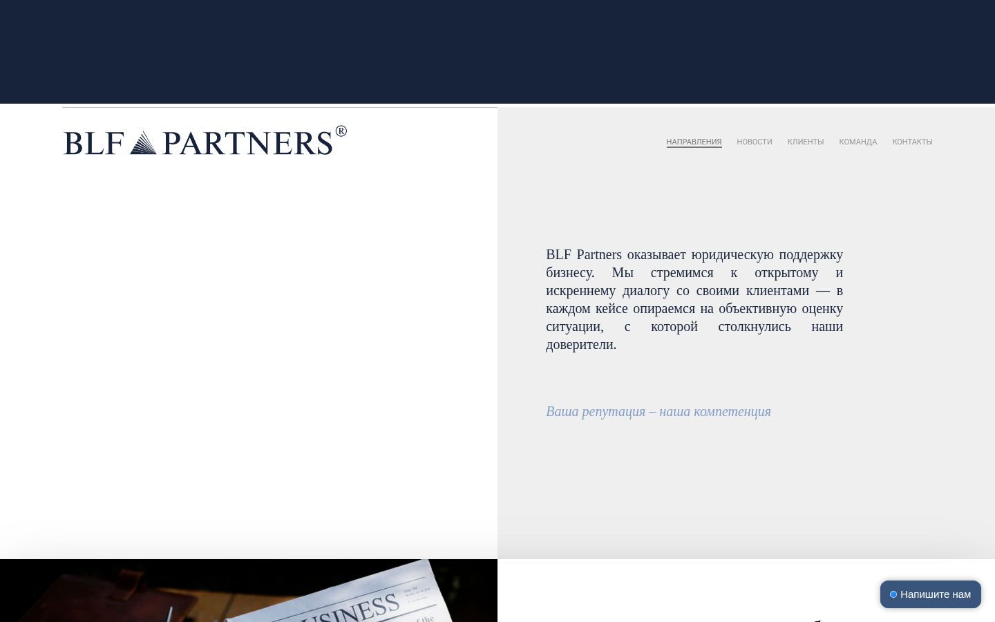 BLF PARTNERS · снимок главной страницы (HOMEPAGE_SCREENSHOT)