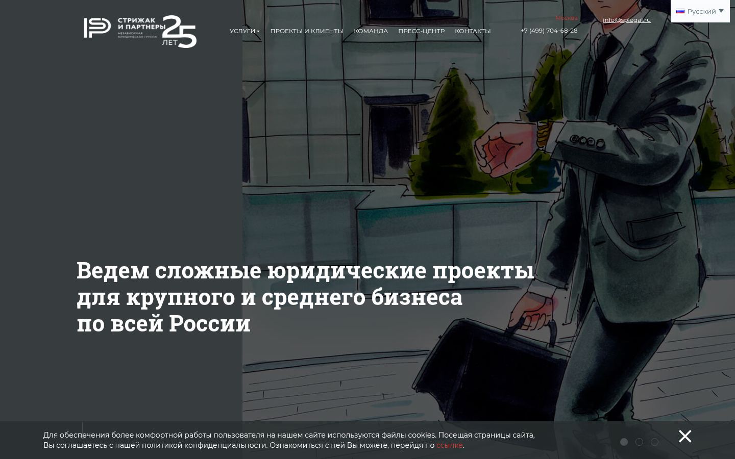 Независимая юридическая группа &laquo;Стрижак и Партнеры&raquo; &middot; снимок главной страницы (HOMEPAGE_SCREENSHOT)