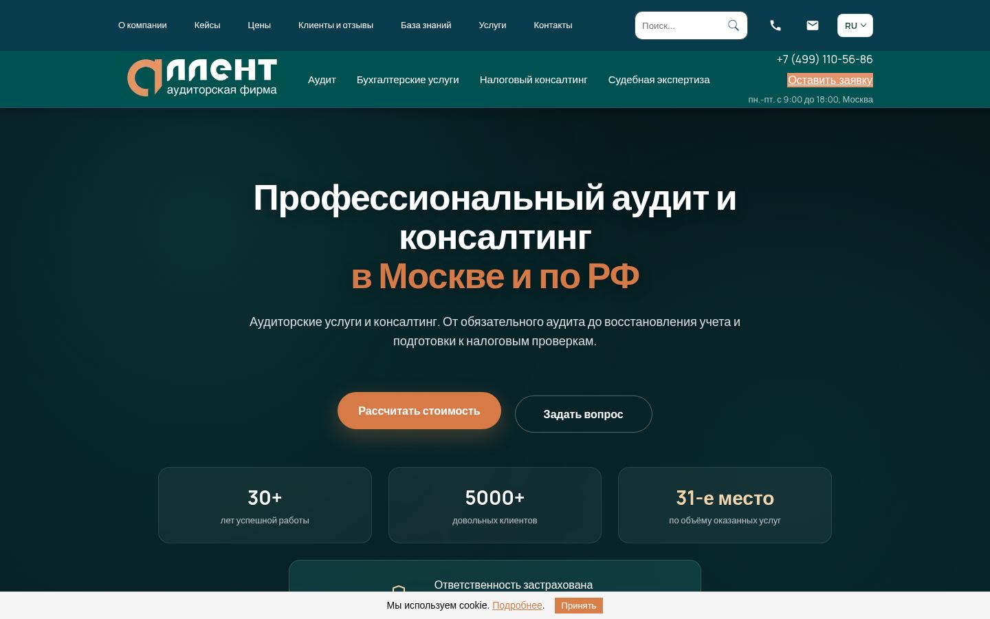 Аллент-Аудит · снимок главной страницы (HOMEPAGE_SCREENSHOT)